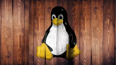 Обнаружение серьёзных и неустранённых уязвимостей в ядре Linux — повод обновить SteamOS или другие дистрибутивы до бета-версий.