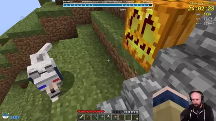 Путешествие длиною в 14 лет: стример наконец достиг Дальних Земель в Minecraft