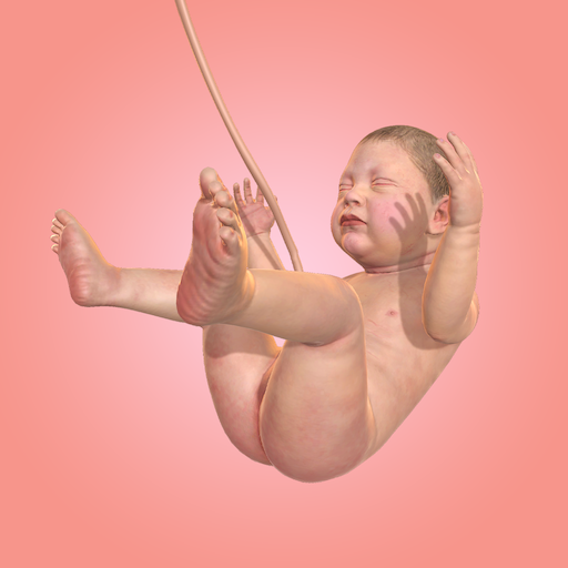 9 Months + мод на бесконечные кристаллы