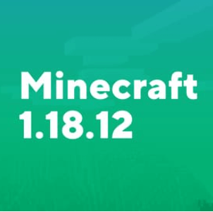 Minecraft 1.18.12